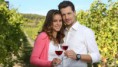 /album/burlive-vino/a2392316-jpg/